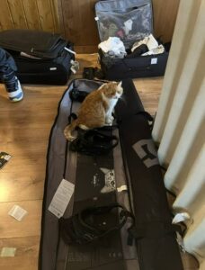 The local cat that kept hanging out in our airbnb in Zermatt, Switzerland 